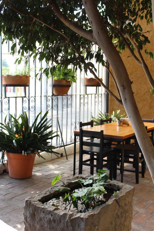 Hotel Rustiko Oaxaca Zewnętrze zdjęcie